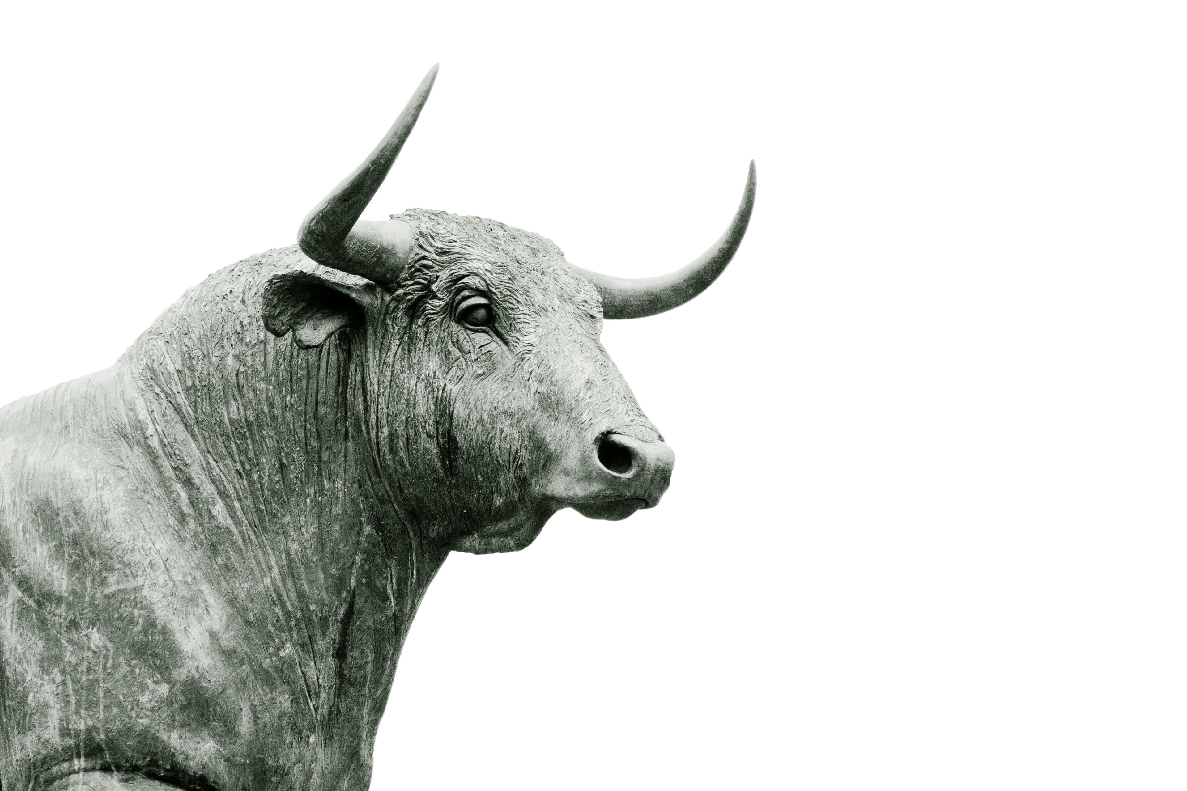 Bullenmarkt: Was er bedeutet und wie er die Märkte prägt